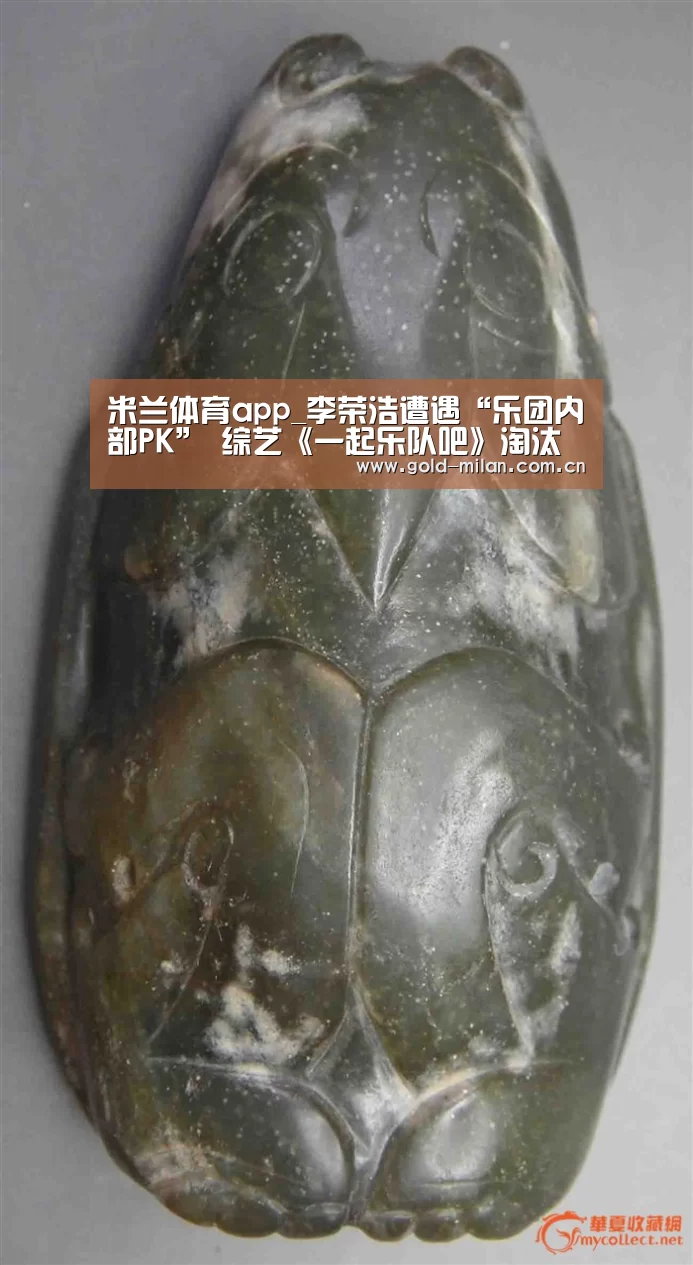 米兰体育app_李荣浩遭遇“乐团内部PK” 综艺《一起乐队吧》淘汰再启(图4)