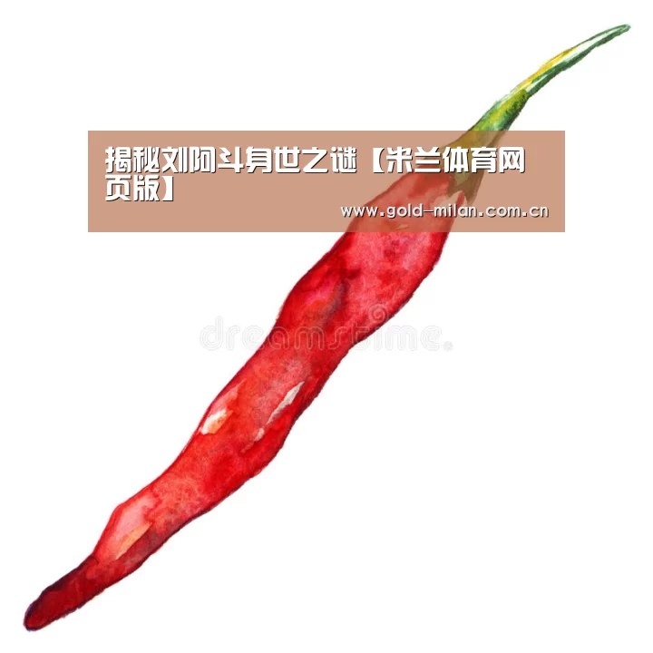 揭秘刘阿斗身世之谜【米兰体育网页版】(图3) 米兰体育app