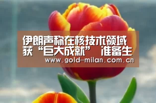伊朗声称在核技术领域获“巨大成就” 准备生产新型核燃料_milansport.com(图3) 米兰体育app