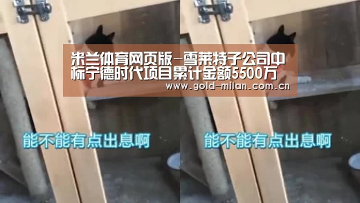 米兰体育网页版-雪莱特子公司中标宁德时代项目累计金额5500万(图2) 米兰体育app
