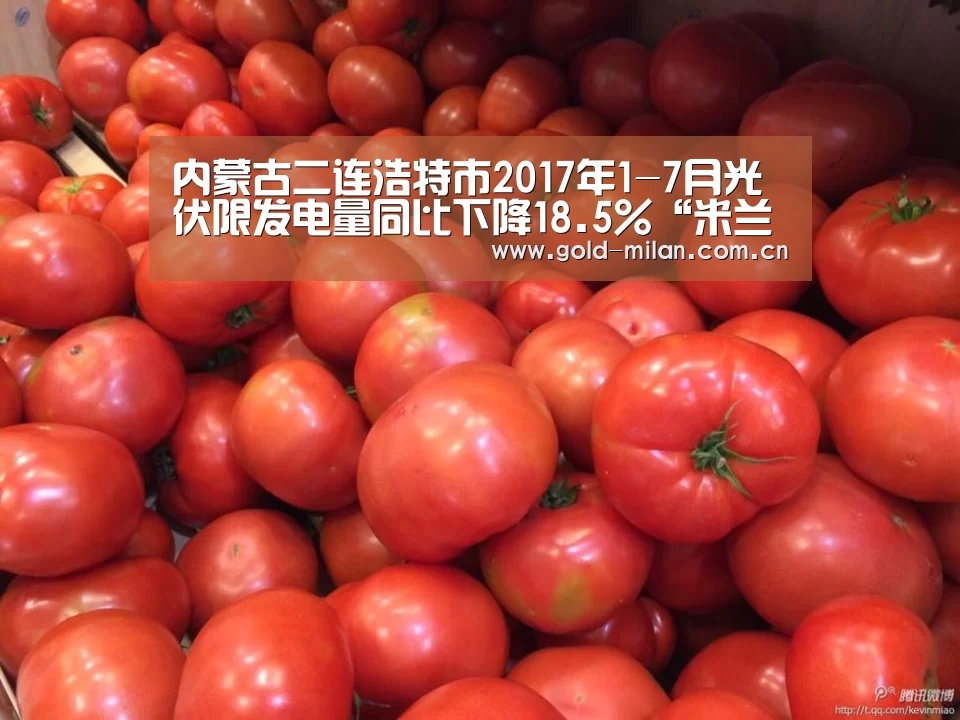 内蒙古二连浩特市2017年1-7月光伏限发电量同比下降18.5%“米兰体育app”(图1) 米兰体育app