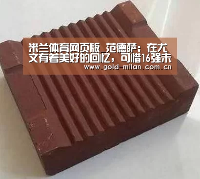 米兰体育网页版_范德萨:在尤文有着美好的回忆,可惜16强未能碰面(图2) 米兰体育网页版